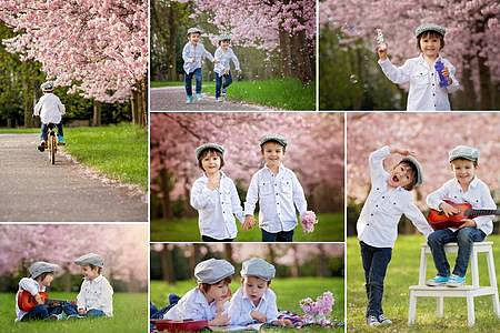 39086031-collage-of-pictures-of-two-adorable-caucasian-boys-in-a-blooming-cherry-tree-garden-spring-afternoon
