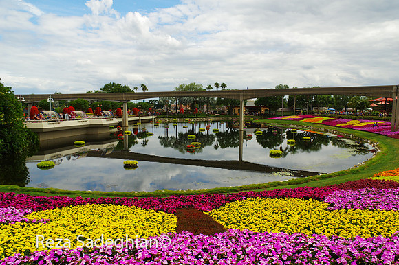 IMGP3476