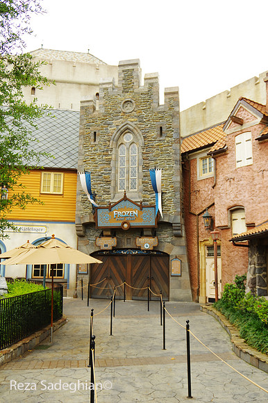 IMGP3529