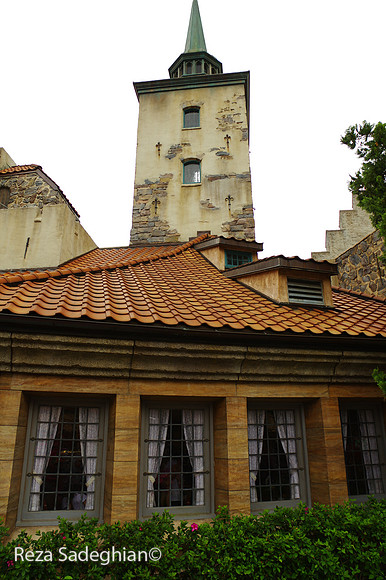 IMGP3531