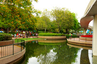 IMGP3451