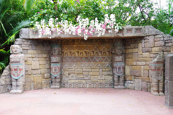 IMGP3521