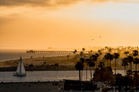 Corona Del Mar 05