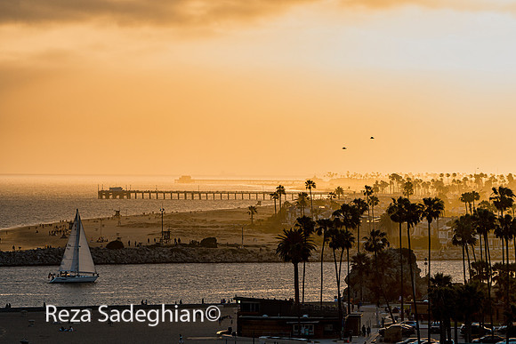 Corona Del Mar 05