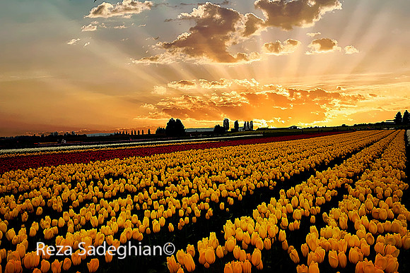 _DSC0832_Sunset01