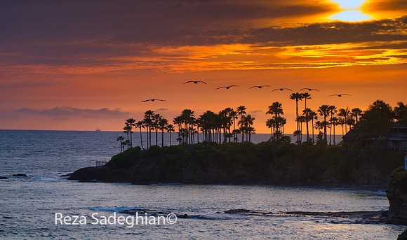 Laguna Beach 04