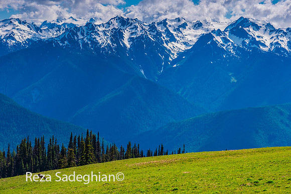 Olympic National Park, Washington 10
