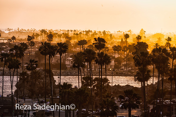 Corona Del Mar 04