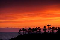 Laguna Beach 03