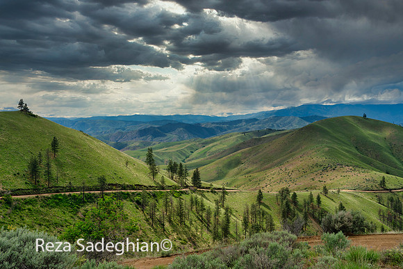 Okanogan-Wenatchee National Forest