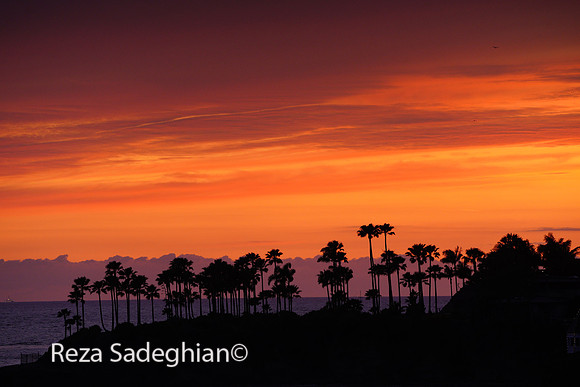 Laguna Beach 02