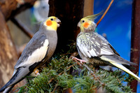 DSCF2845