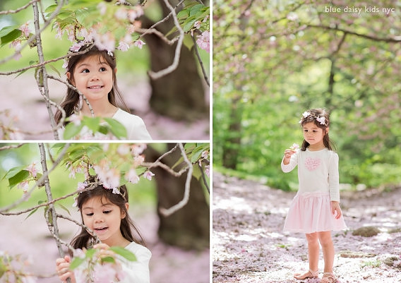 001-cherry-blossom-portrait(pp_w568_h401)