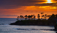 Laguna Beach 04