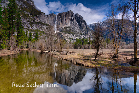 Yosemite Park Color 03