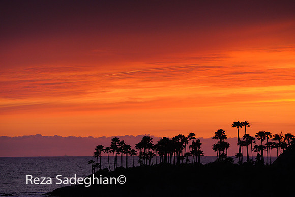 Laguna Beach 03