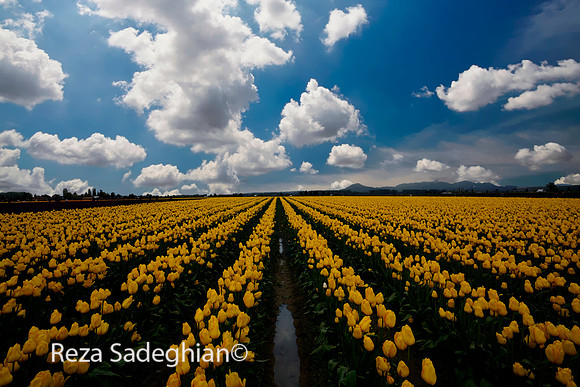 _DSC0860_BlueSky