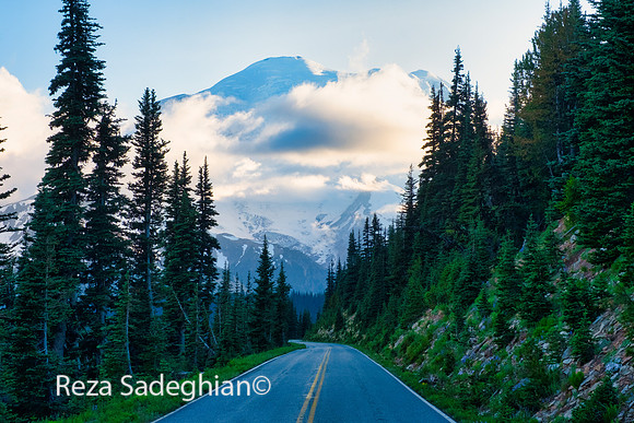 Paradise, Mount Rainier 07