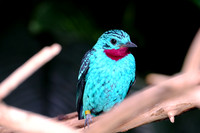 DSCF3298